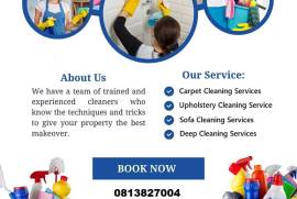 Professional Carpet Cleaning Company in Pretoria