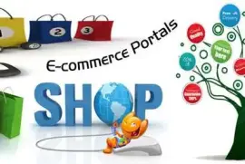 Professional website design &amp;amp; web developm,  1,000.00