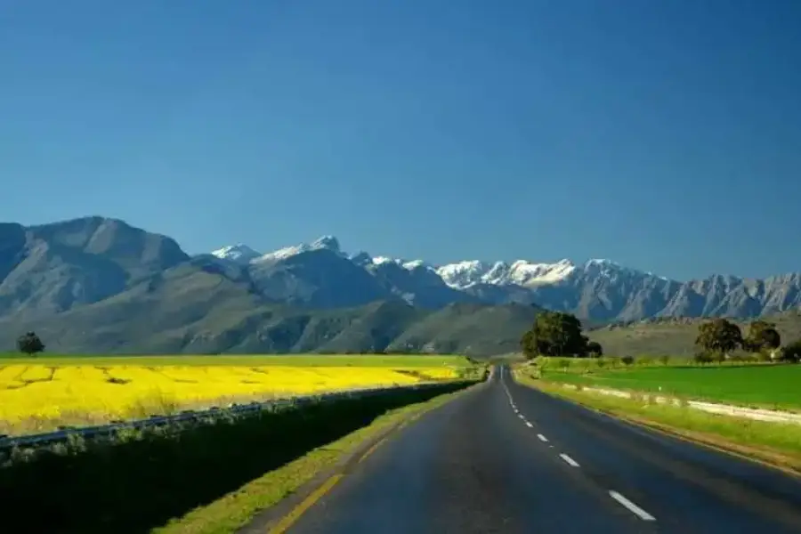 South Africa Business Rankings,  0.00