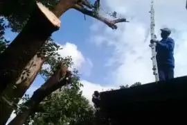 Eddy's Free Felling,  0.00