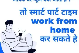 Work from home Ad posting copy past work or form f,  100.00