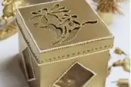 AROGYAM PURE HERBS BREAST UPLIFTING KIT,  0.00