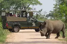 Kruger National Park Safaris by Kurt Safari