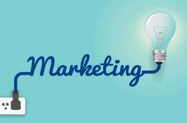 Creative Website Design Solutions: Johannesburg's 