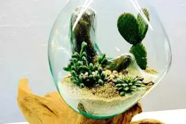 Molten Glass | Business Opportunity, Contact us