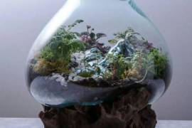 Molten Glass | Business Opportunity, Contact us