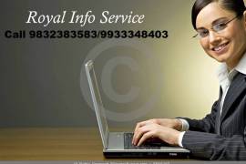 Royal Info Service Offered