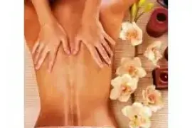 1 hour-MOBILE MASSAGE CAPE TOWN 24/7-0736858839