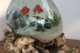 Hand-blown glass | Contact us for a Business Oppor