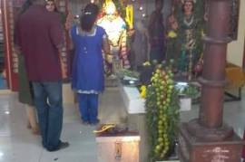 TEMPLE HEALER AND FORTUNE TELLER