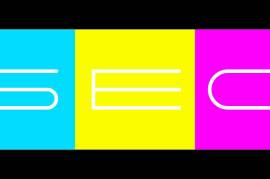 Professional SEO &amp; Website Design Services – W