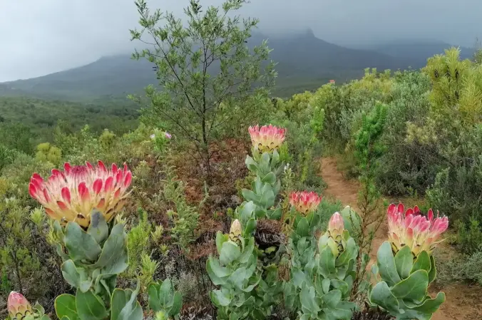 South Africa&rsquo;s tourism sector is surging